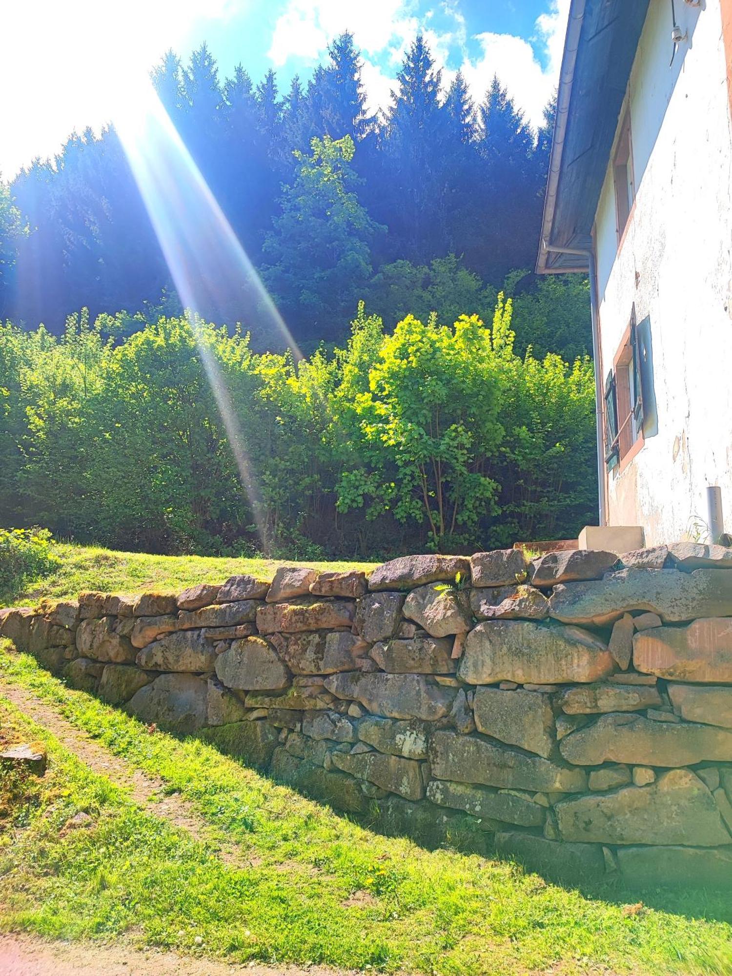 Apartment La Demeure Des Forges *